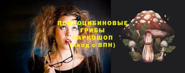 прущая мука Арсеньев