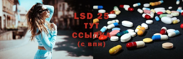 PSILOCYBIN Армянск
