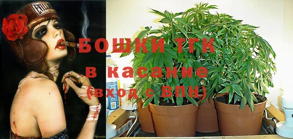 прущая мука Арсеньев