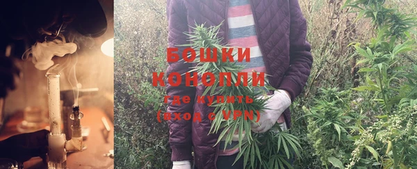 PSILOCYBIN Армянск