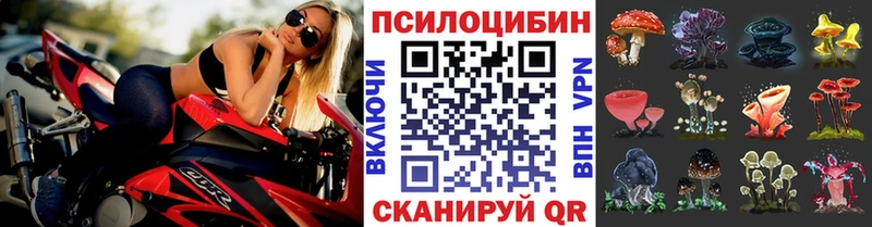 сайты даркнета официальный сайт  Оханск  Псилоцибиновые грибы Psilocybe 